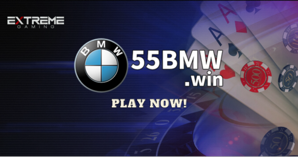 55bmw.com